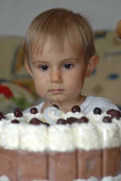 dsc 2196